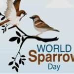 World Sparrow Day 2024 – लुप्त होती विरासत : गौरैया को वापस लाएं