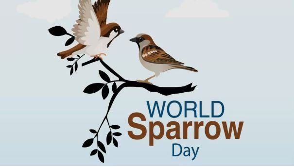 World Sparrow Day 2024