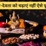 Puja Path Tips 2024: देवी-देवता को चढ़ाएं नहीं ऐसे फूल! वरना पूजा नहीं होगी सफल