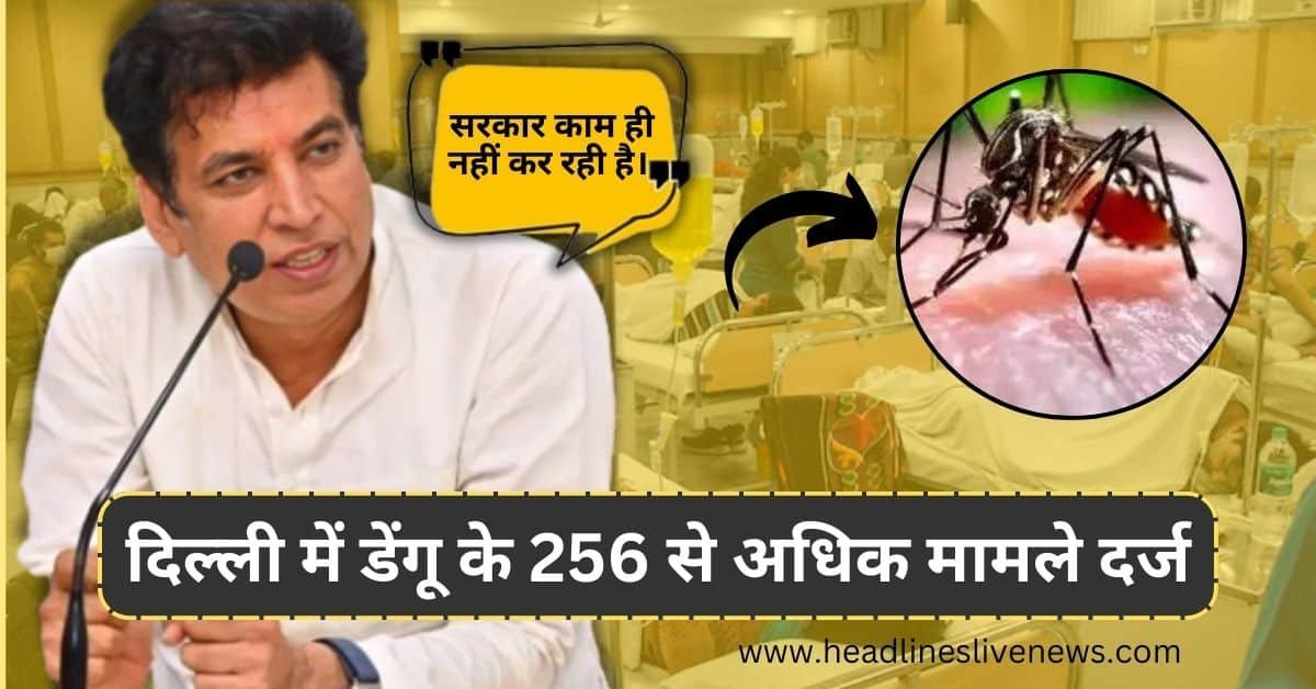 दिल्ली में डेंगू