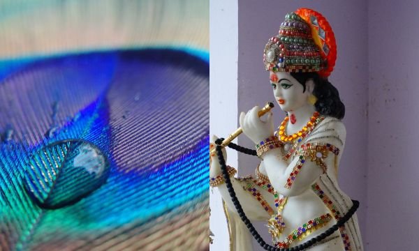 Janmashtami 2024: क्यों चढ़ाया जाता है मोरमुकुटधारी को 56 भोग? जानिए खास वजह