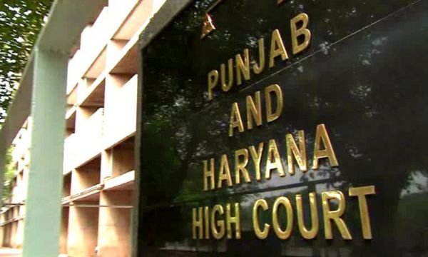 punjab & haryana hc