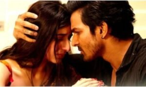 SANAM TERI KASAM की वापसी: दर्शकों के दिलों पर फिर छा गई रोमांटिक कहानी 2025 !