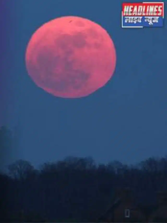 PINK MOON 2025