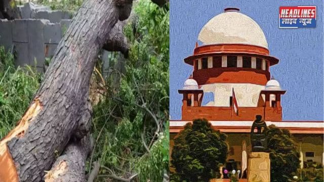 रिज क्षेत्र में अवैध कटाई: दिल्ली सुप्रीम कोर्ट ने DDA अधिकारियों को ठहराया दोषी 2025 !