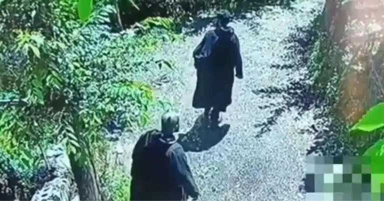 Army Plugs Escape Routes At J&K Orchard: 2 आतंकी गिरफ्तार