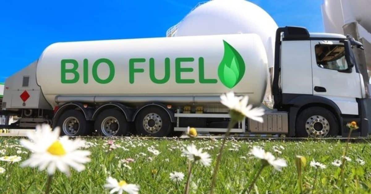 Biofuels рдиреАрддрд┐ рд╕реЗ рдбреНрд░рд╛рдЗрд╡рд░реЛрдВ рдХреА рдмрдврд╝реА рдЯреЗрдВрд╢рди, рдЬрд╛рдирд┐рдП рдЕрд╕рд▓реА рд╕рдЪ
